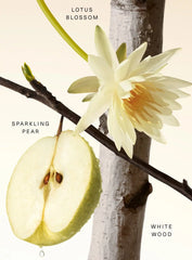Fragrance Layering Balm – Fruity Pear